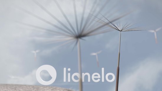 lionelo amelie 3 in 1 campingbedje 2