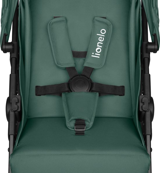 Lionelo Emma One Buggy - Tot 22 kg - XXL Kap - EVA Wielen 4